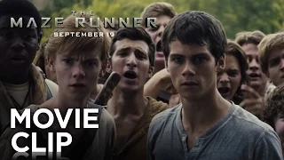 The Maze Runner | "Good Job" Clip [HD] | 20th Century FOX