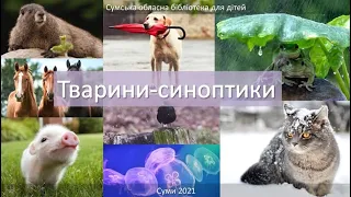 Тварини-синоптики