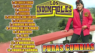 Los Indomables - Puras Cumbias Mix 2023