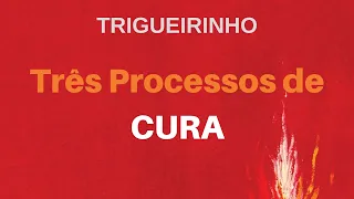 Trigueirinho | Três Processos de Cura