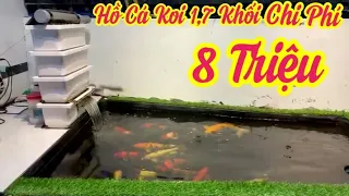 Hồ Cá Koi 1,7 Khối Chi Phí 8 Triệu - Nuôi Cá Nhật Và F1 Đẹp - Bộ Lọc 3 Ngăn.Hồ E Nhân Ở Bình Thuận.