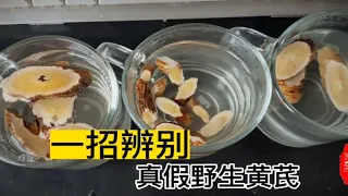 绝招，上当受骗卖到假野生黄芪？野生黄芪泡水漂浮？种植下沉？