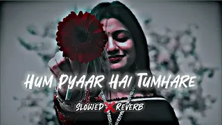 Hum pyaar hai tumhare 3mp download slowed_reverb #slowed #highlights #song #subscribe #love