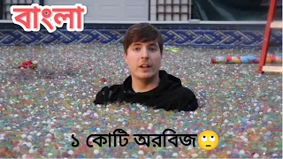 I Put 100 Million Orbeez In My Friend's Backyard|i put 100 million orbeez in Bangla|Mr Beast