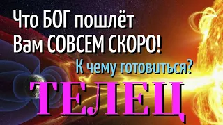 ТЕЛЕЦ 💎😇💎 Что БОГ пошлёт Вам СОВСЕМ СКОРО К Чему готовиться ТАРО РАСКЛАД