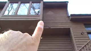 HandyANDY- repairs rotted and woodpecker damaged cedar siding in Roswell