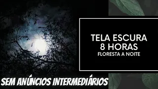 RELAXE!!! 😍 SOM RELAXANTE DA FLORESTA A NOITE - TELA ESCURA