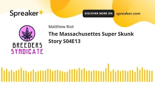 The Massachusettes Super Skunk Story S04E13