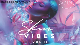 JOHN JUNIOR & TONY Q - SKIN VIBES VOL 2