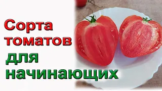 Сорта томатов для начинающих. На 2024 год. Каталог  https://clck.ru/yVQrn