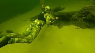 spearfishing for ASP. 6 KG ! подводная охота. Жерех - 6 кг !