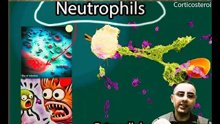 High Neutrophil count vs Low neutrophil count