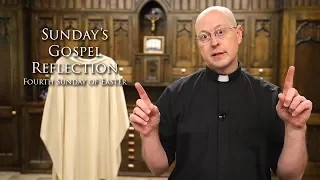 Sunday's Gospel Reflection - 5-12-19 - Fourth Sunday of Easter