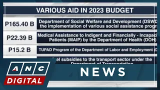PH Budget Chief: 2023 budget contains over P206-B in aid for various sectors | ANC