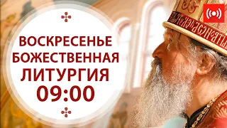 БОЖЕСТВЕННАЯ ЛИТУРГИЯ. Трансляция. 8 августа (воскресенье) в 9:00