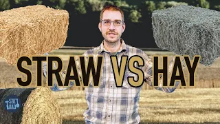 The Difference Between Hay and Straw