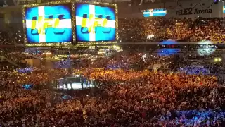 Alexander Gustafsson entrance at UFC Stockholm