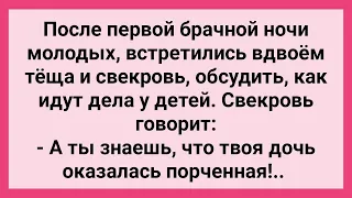 Свекровь Обвинила Невестку в Испорченности! Сборник Свежих Смешных Жизненных Анекдотов!