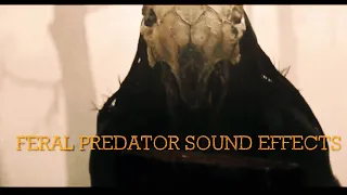 Feral Predator Sound Effects