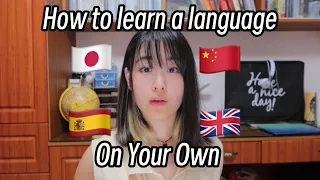 [CN][EN subtitle]How to learn ANY language by yourself-- 4 tips I learned from 10 years' experience