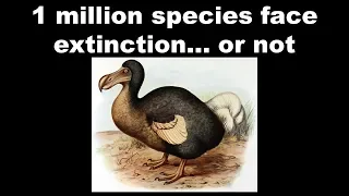 UN Extinction Prediction Exposed