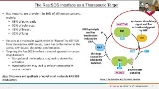 Doctoral Preliminary Proposal: Discovery of Novel Small-Molecule SOS1 Modulators