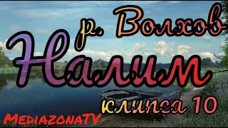 #рр4  р.Волхов Налим 27.05