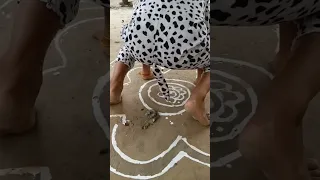 Rangoli Me Kutta Haag Diya 🪔 Happy Diwali 😁😀🎆🧨🙏#funny #shorts #viral