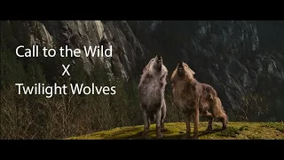 Call to the Wild - Twilight Wolves MV