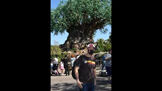 Disney's Animal Kingdom Rope Drop: Why we do it, no seriously, not even kidding, why we rope drop