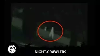 The Fresno Nightcrawlers | Most Convincing Footage of Alien Life Caught on Tape?