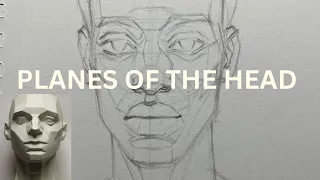 Planes of the head in front view - Asaro method