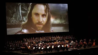 I can't carry it for you, but I can carry you - The Lord of the Rings live orchestra