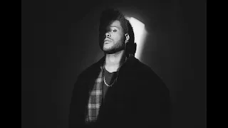 [FREE] The Weeknd Trilogy Rnb Type Beat - FALLEN BIRDS