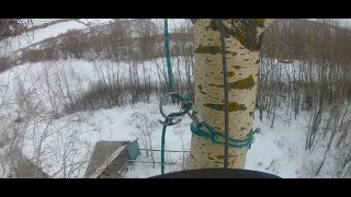 Огромные деревья над проводами! Разбираю по частям.