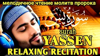 чтение Корана как введение в отдых, охлаждающее душу | RELAXING RECITATION YASSEN❤❤