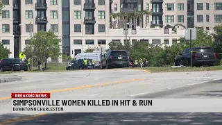 Police looking for motorist in deadly Morrison Drive hit and run