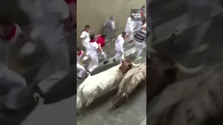 Running of the bulls kicks off in Pamplona, Spain