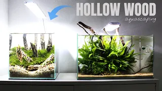 Aquascaping HOLLOW WOOD | HOW TO Aquascape With CACTUS Wood | Shrimp Tank