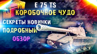 E 75 TS // Подробный обзор на практике // Гайд