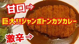 人気カレー専門店にアポ無し訪問！巨大ジャンボトンカツカレーを爆食【カレー料理の店白川】Kyoto gourmet