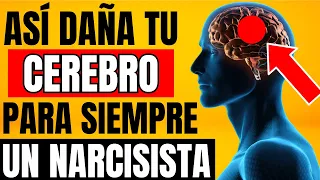 Los DAÑOS CEREBRALES Tras Sufrir ABUSO NARCISISTA | Salud mental y Psicología