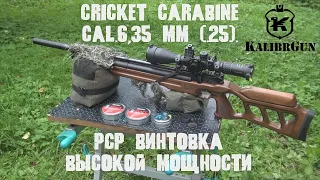 Cricket Carabine 6.35 mm PCP high power air rifle. Overview.