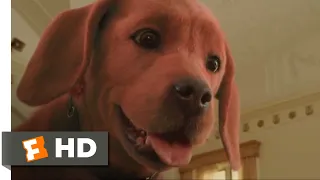 Clifford the Big Red Dog (2021) - Clifford Meets the Bully Scene (5/10) | Movieclips