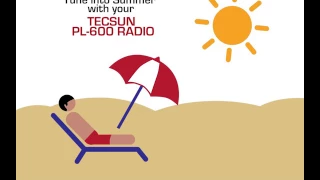 PL-600 Ad Animation