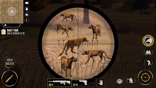 Hunting 6 COUGAR😱 | Daily task | American Marksman