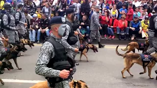 desfile 20 de julio 2017 , Bogotá 🇨🇴 parte 3