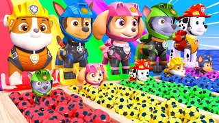 PAW Patrol Guess The Right Door ESCAPE ROOM CHALLENGE Animals Tire Game Cow Mammoth Elephant Tiger