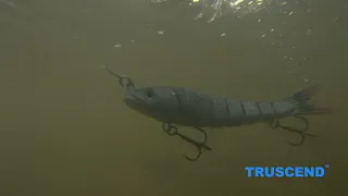 TRUSCEND Bionic Bass Fishing Lure Multi Jointed Swimbait