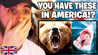 Brit Reacts to The Most DANGEROUS ANIMALS In The UNITED STATES 🐻🦈